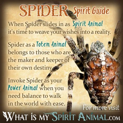 Spiders nd magic